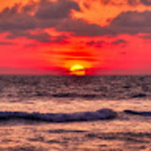 Meet your Posher, Addison